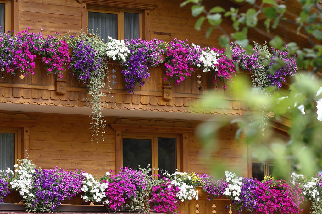 Alpenecho Apartment Neustift im Stubaital Ngoại thất bức ảnh