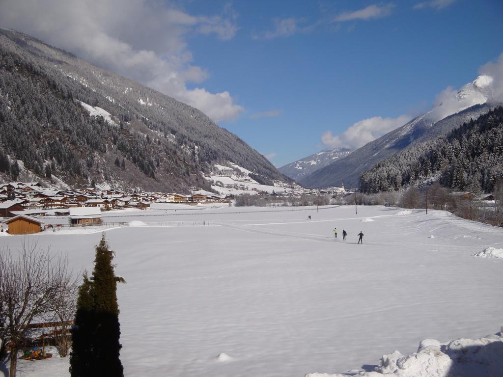 Alpenecho Apartment Neustift im Stubaital Ngoại thất bức ảnh