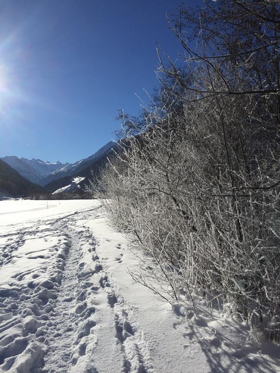 Alpenecho Apartment Neustift im Stubaital Ngoại thất bức ảnh