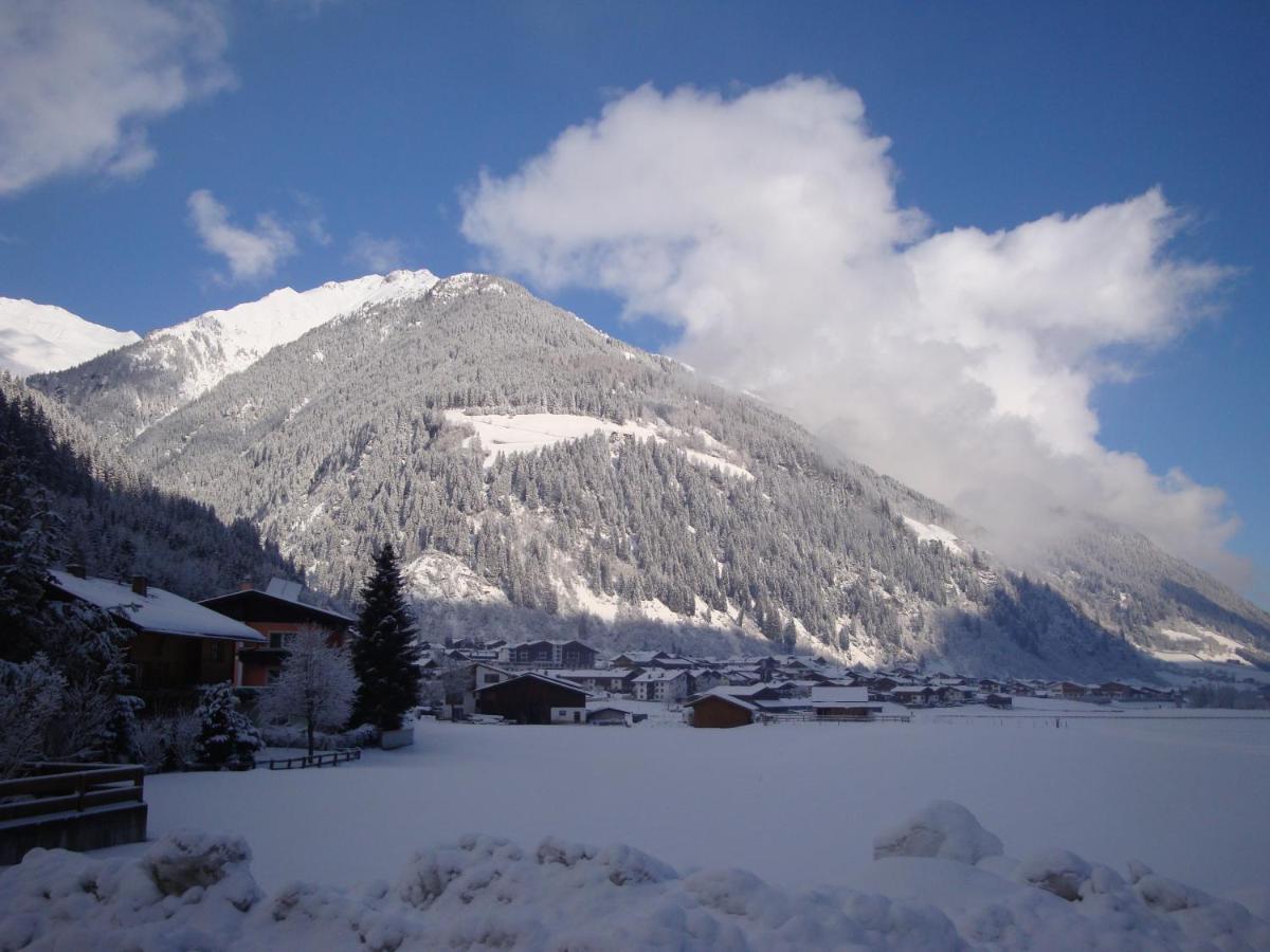Alpenecho Apartment Neustift im Stubaital Ngoại thất bức ảnh